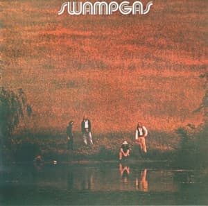 Swampgas
