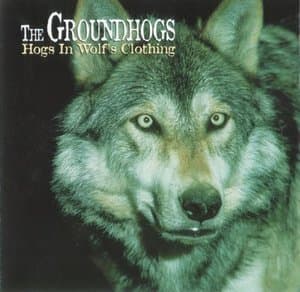 Hogs In Wolf s Clothing