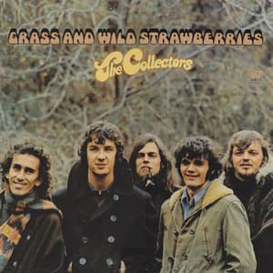 Grass And Wild Strawberries