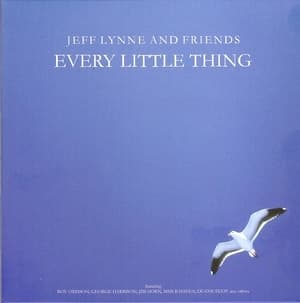 Every Little Thing
