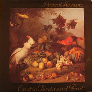 Exotic Birds And Fruit (Vinyl)
