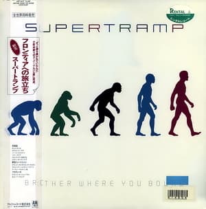 Brother Where You Bound (Vinyl)