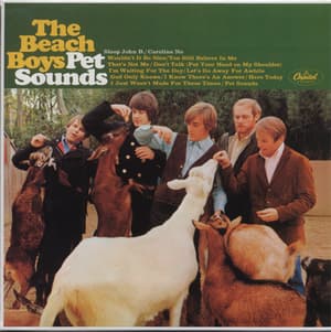 Pet Sounds