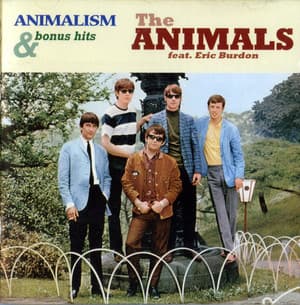 Animalism & Bonus Hits