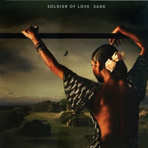 Soldier Of Love