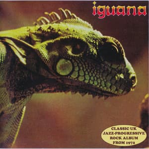 Iguana