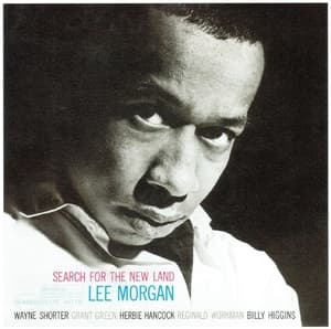 Search For The New Land