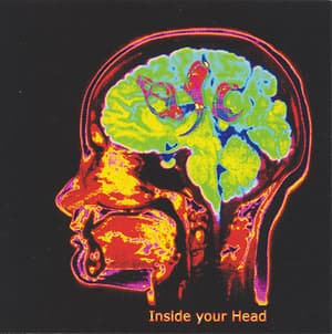 Inside Your Head