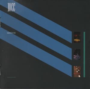 Windows In The Jungle