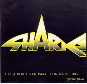 Like A Black Van Parked On Dark Curve...