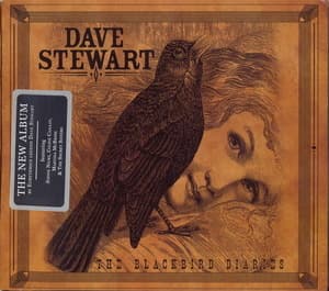 The Blackbird Diaries