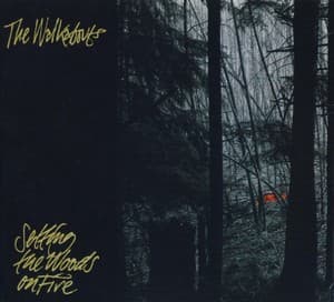 Setting The Woods On Fire