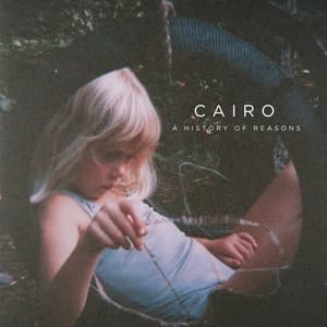 A History Of Reasons