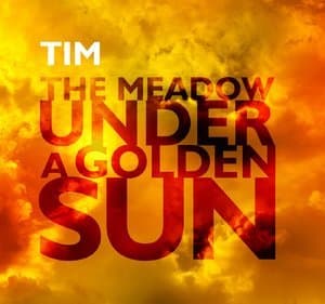 The Meadow Under A Golden Sun