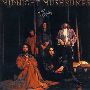 Midnight Mushrumps