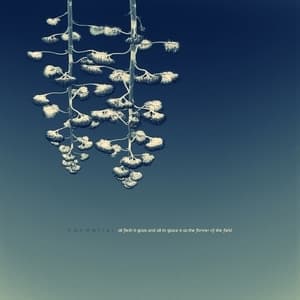 All Flesh Is Grass and All Its Grace Is as the Flower of the Field