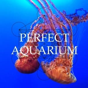 Perfect Aquarium