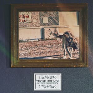 Mother Earth Is Sick