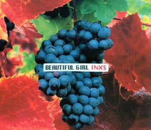 Beautiful Girl [CDS]