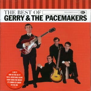 The Best Of Gerry & The Pacemakers (2CD)
