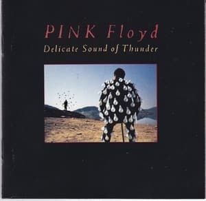 Delicate Sound Of Thunder (2CD)