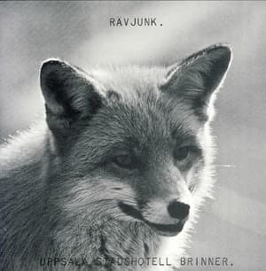 Uppsala Stadshotell Brinner (2CD)