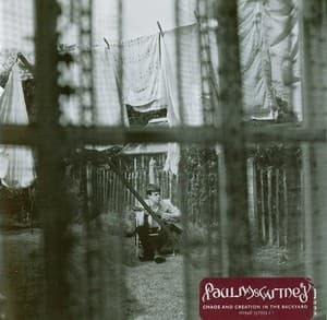 Chaos And Creation In The Backyard