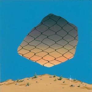 Carl Sagan's Skate Shoes