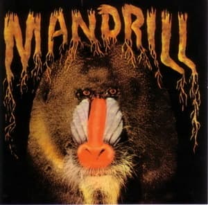 Mandrill