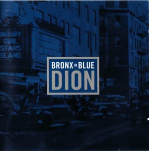 Bronx In Blue