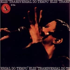 Transversal Do Tempo