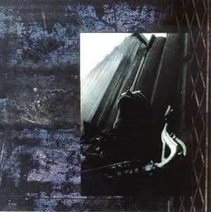 Luc Houtkamp In Chicago