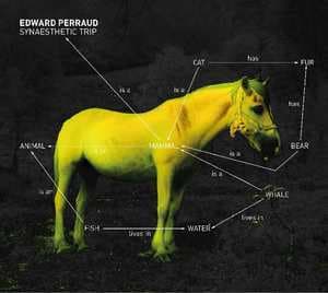 Synaesthetic Trip