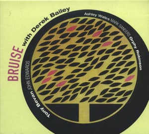 Bruise With Derek Bailey