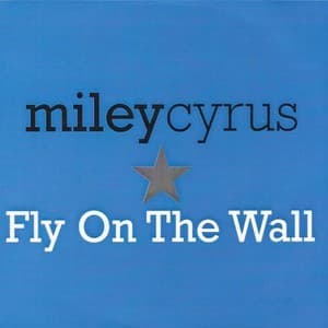 Fly On The Wall [CDS]