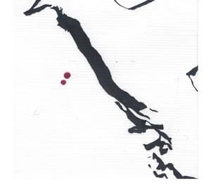 Overdeveloped Pigeons