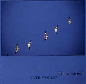 The Almond & The Almond