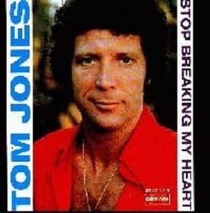 Stop Breaking My Heart