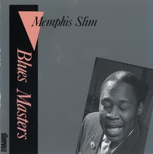 Blues Masters, Vol. 9