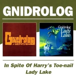 In Spite Of Harry's Toe-nail & Lady Lake