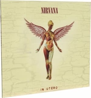 In Utero