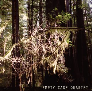 Empty Cage Quartet
