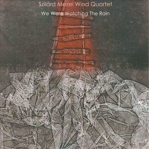 We Were Watching The Rain