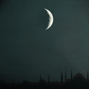 A Pasha's Abstinence