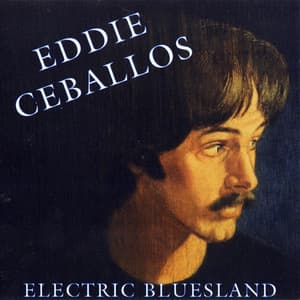 Electric Bluesland