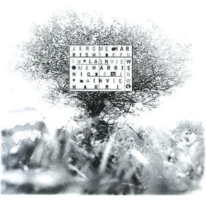 Hidden In Plain View