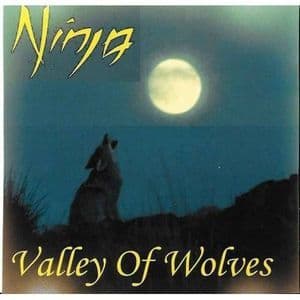 Valley Of Wolves