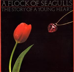 The Story Of A Young Heart