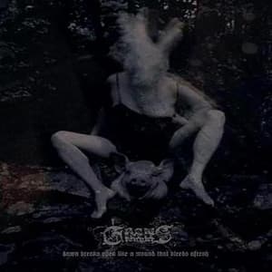 Dawn Breaks Open Like A Wound That Bleeds Afresh