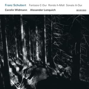  Schubert - Fantasie D-dur, Rondo H-moll, Sonate A-dur